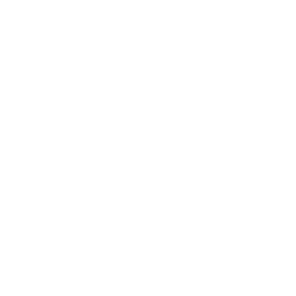 ZEM